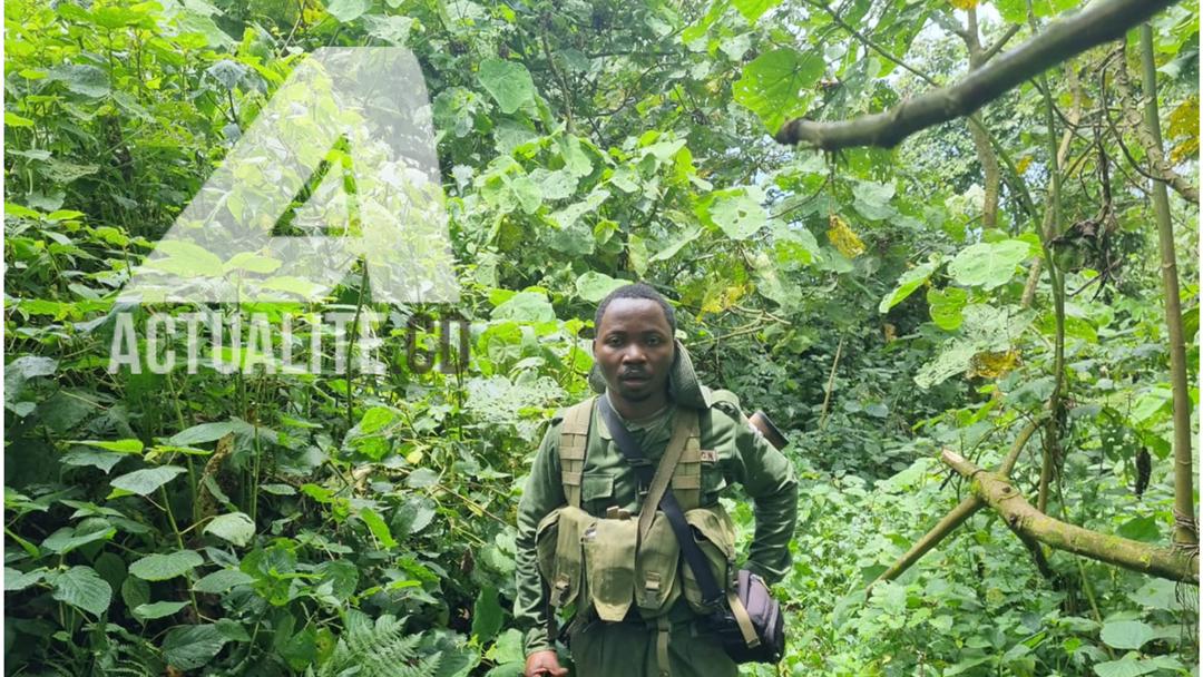 Les écogardes sont présents dans le Parc des Virunga pour assurer la sécurité des hommes et des bêtes 