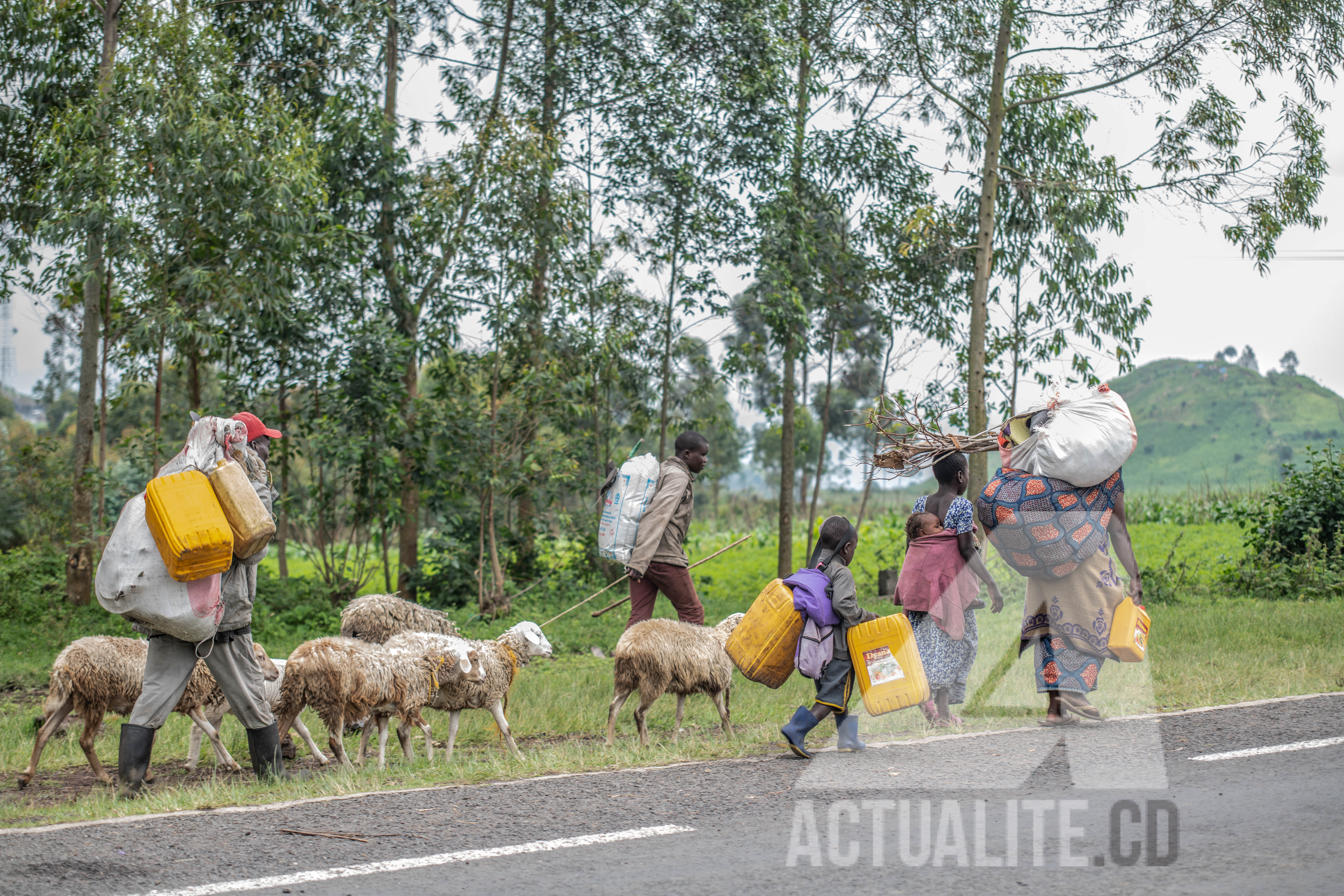 Depuis la reprise des affrontements, près de 40 000 personnes seraient nouvellement déplacées dans le territoire de Rutshuru ; au moins 12 000 autre personnes ont traversé la frontière pour l’Ouganda.