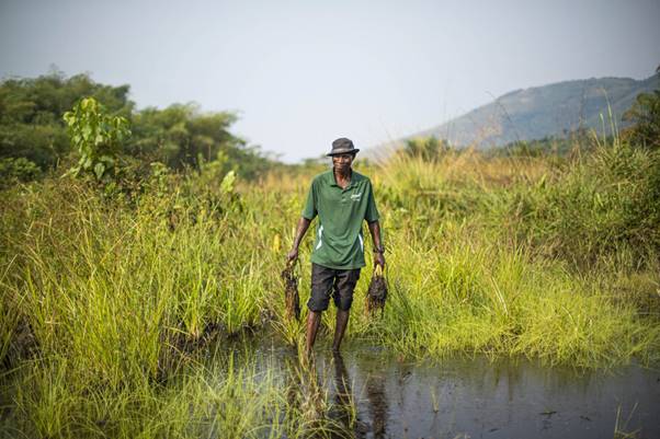 Le pisciculteur Masuisse, dans le village de Kinduti en RDC, participe à un projet de résilience soutenu par le PAM. Photo : PAM/Castofas