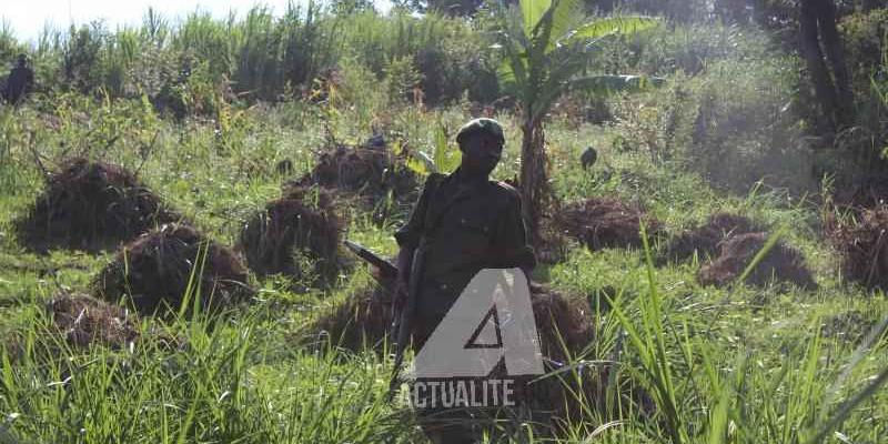 Militaire FARDC dans la forêt, près de Beni (Ph. ACTUALITE.CD/Ley Uwera) 