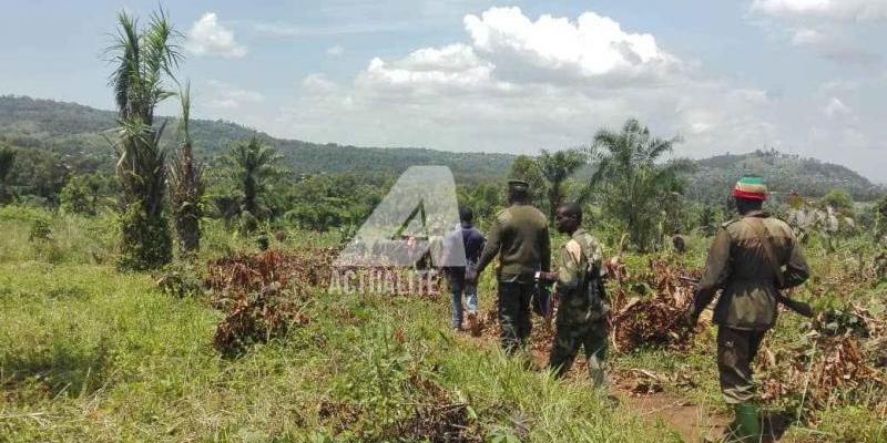 Les FARDC au front dans la périphérie de Beni après affrontements avec des miliciens Mai-Mai ce lundi 22 octobre 2018 (Photo Yassin Kombi/ACTUALITE.CD)