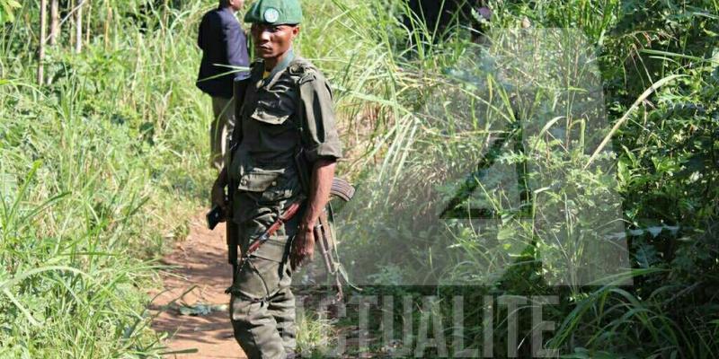 Les FARDC dans la brousse près de Beni (Photo Ley Uwera/ACTUALITE.CD)