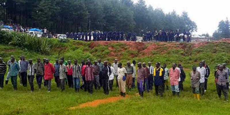 Des ex-combattants des FDLR qui se sont déjà volontairement rendus à la Monusco au Sud-Kivu, lors de la cérémonie de reddition le 28 décembre 2014. Photo Monusco/Serge Kasanga