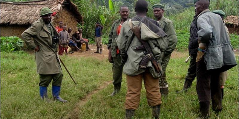 Des membres des Forces démocratiques pour la libération du Rwanda (FDLR) 