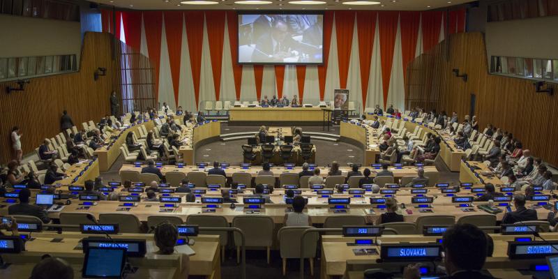 Salle de réunion de l'ONU. Photo Droits tiers