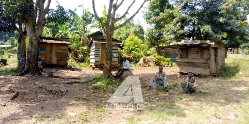 Le village de Makisabo, sur la route Beni-kasindi, en territoire de Beni 