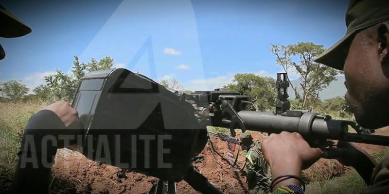 Les Forces Armées de la République Démocratique du Congo (FARDC)