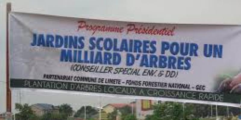 Joardins scolaires pour un milliard d'arbres