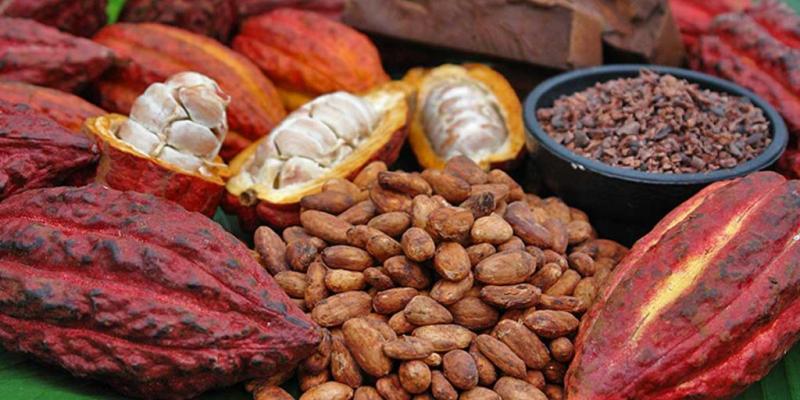 Cacao RDC