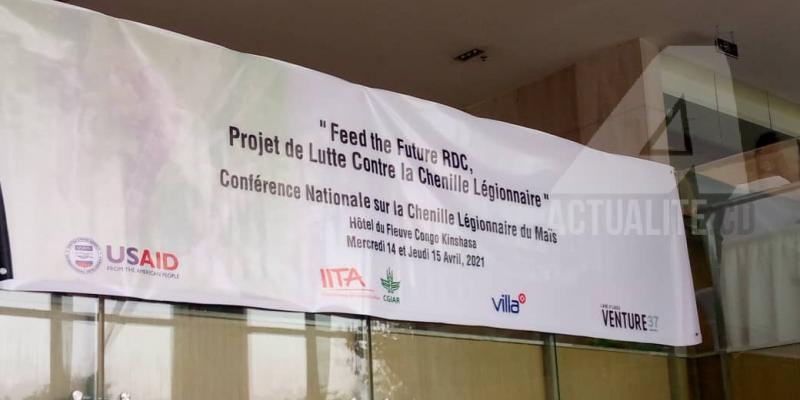 RDC : ouverture à Kinshasa de la conférence nationale sur la chenille légionnaire du maïs.