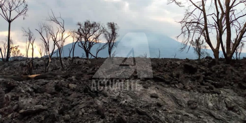 Une partie du parc des Virunga ravagée par la lave dans le territoire de Nyiragongo/Ph ACTUALITE.CD 