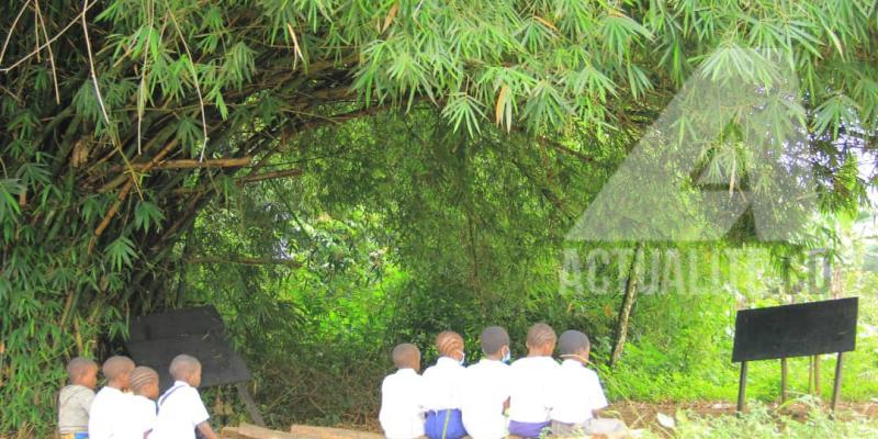 Une salle de classe atypique de l'école Ngora dans le territoire de Lubero