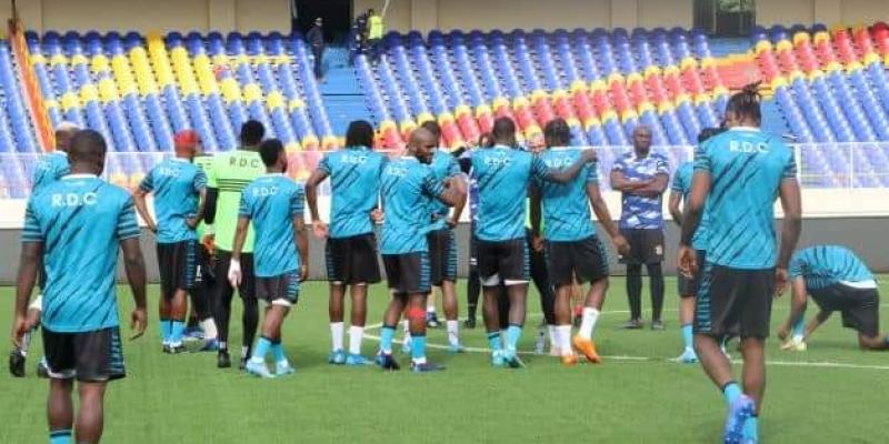 Léopards à l'entrainement 