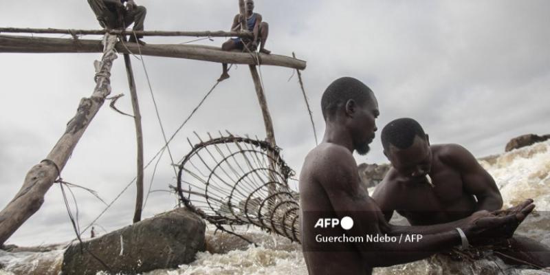 Sur le fleuve Congo, les pêcheurs de la chute Wagenya à Kisangani