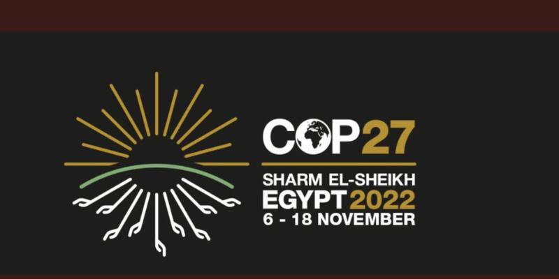 COP 27