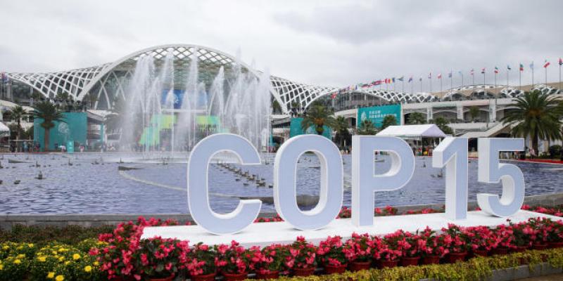 Cop 15 au Canada