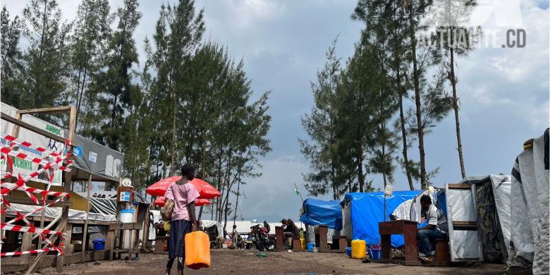 Déplacés de Kanyaruchinya, à proximité de Goma. Photo/ACTUALITE.CD