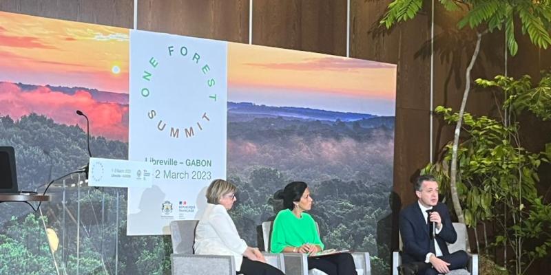 Ouverture du segment ministeriel de One Forest Summit