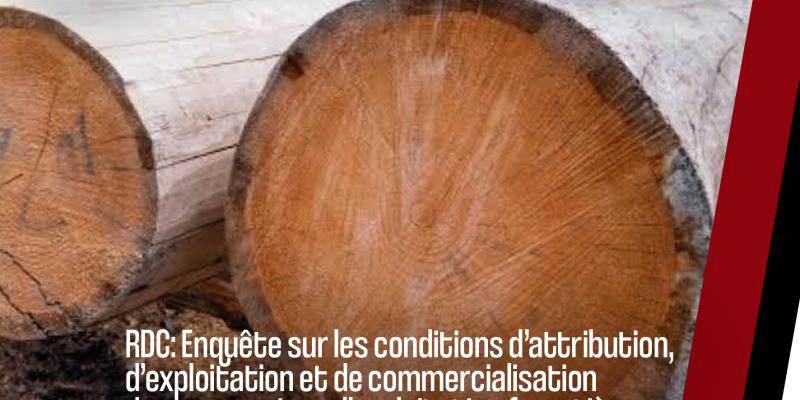 Cet article fait partie d’une série de productions dans le cadre de l’enquête menée sur les conditions d’attribution, d’exploitation et de commercialisation des concessions d’exploitation forestière