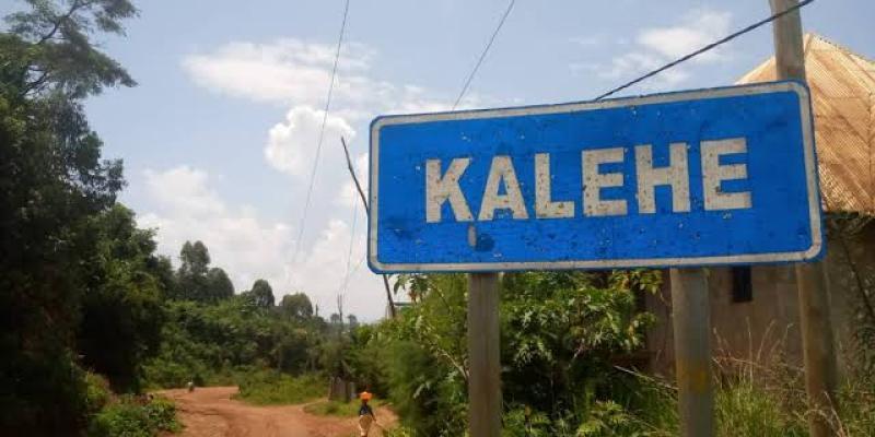 Kalehe 