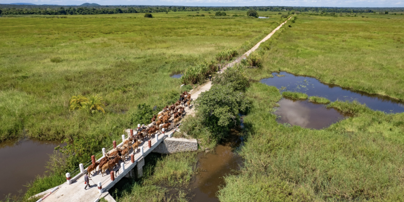 Le pont de Lwizi, récemment reconstruit dans le Tanganyika, en RDC, relie les territoires de Kabalo, Nyunzu et Kalemie. Photo : PAM/Michael Castofas