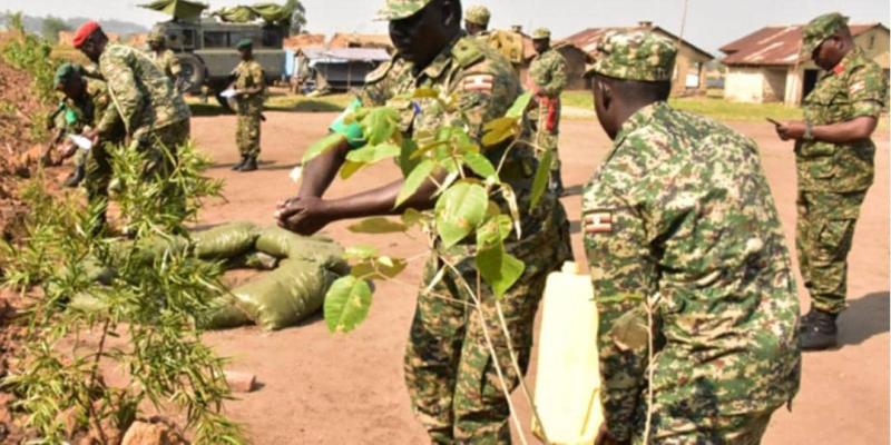 Les soldats de l'UPDF en RDC