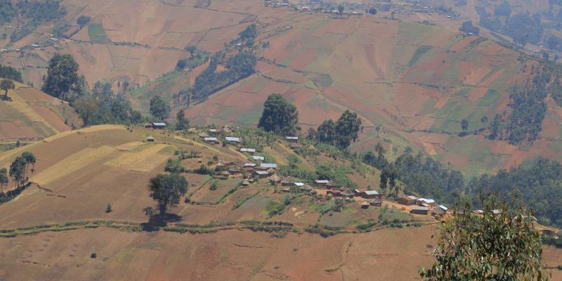 un paysage agricole dans les hautes terre de Luutu, en territoire de Beni, à une trentaine de Km de Butembo  ©Hervé Mukulu)