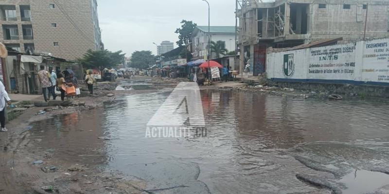 Avenue Kalembelembe