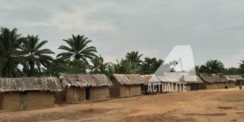 Lubutu, village voisin de Ombole, dans le secteur de Bapere