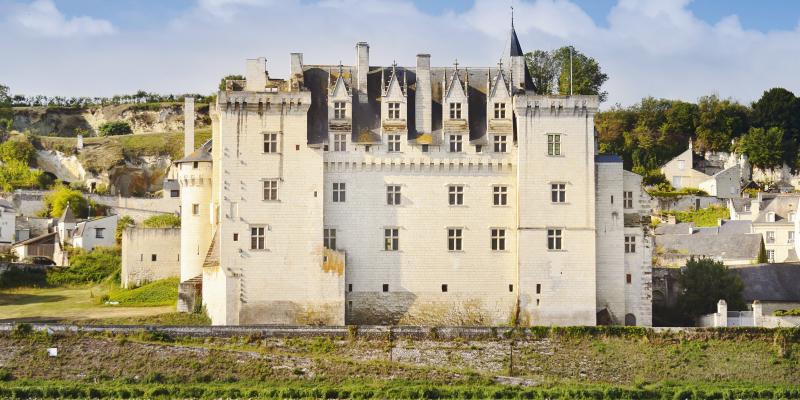 Le château de Montsoreau – musée d'Art contemporain est un musée privé d'art contemporain créé par le collectionneur Philippe Méaille, situé dans le val de Loire à Montsoreau.