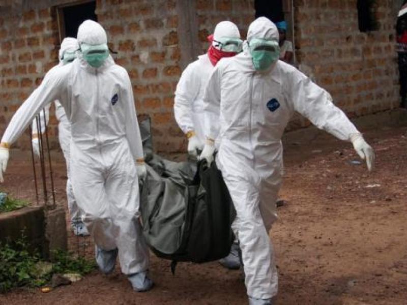 Des agents de santé 