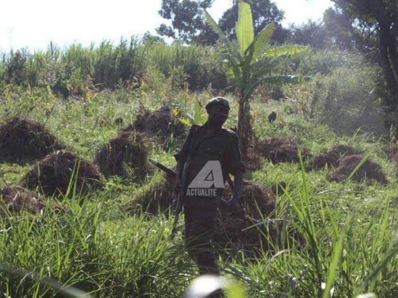 Un militaire au champ de bataille près dans la périphérie de Beni 