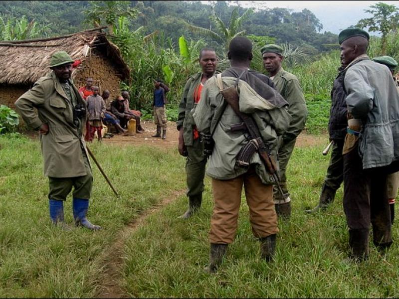 Des membres des Forces démocratiques pour la libération du Rwanda (FDLR) 