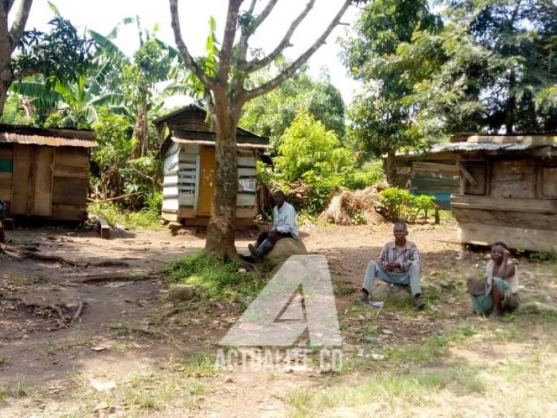 Le village de Makisabo, sur la route Beni-kasindi, en territoire de Beni 