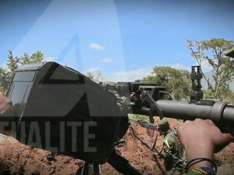 Les Forces Armées de la République Démocratique du Congo (FARDC)