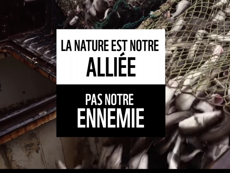 SUR DESKNATURE.COM