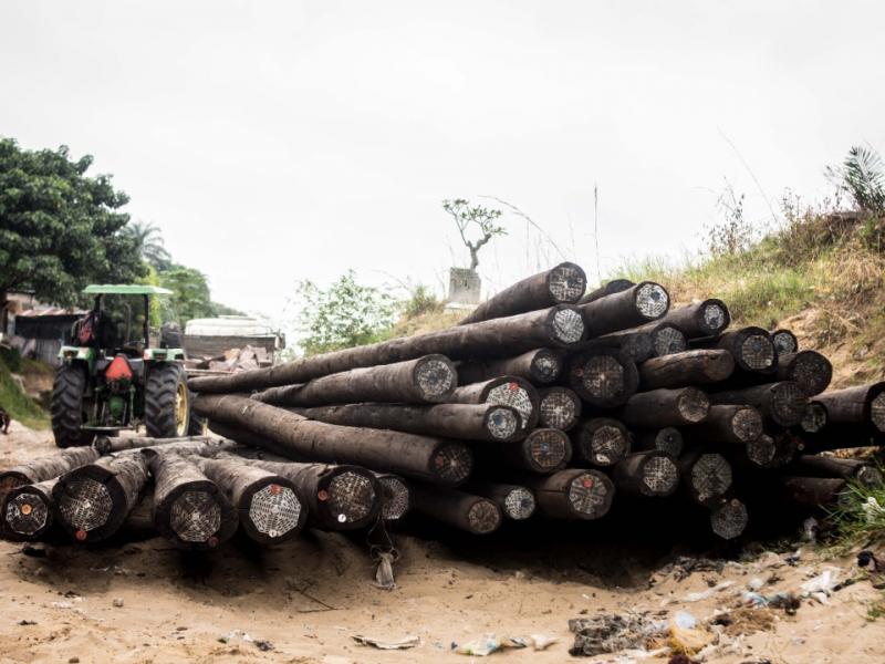 Poteaux électriques en bois/Ph. droits tiers