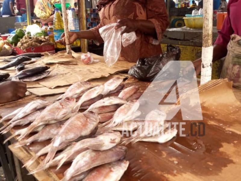 Kinshasa: baisse des prix des produits surgelés 