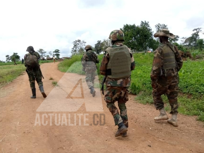 Les FARDC et les casques bleus malawites en patrouille dans le territoire de Beni