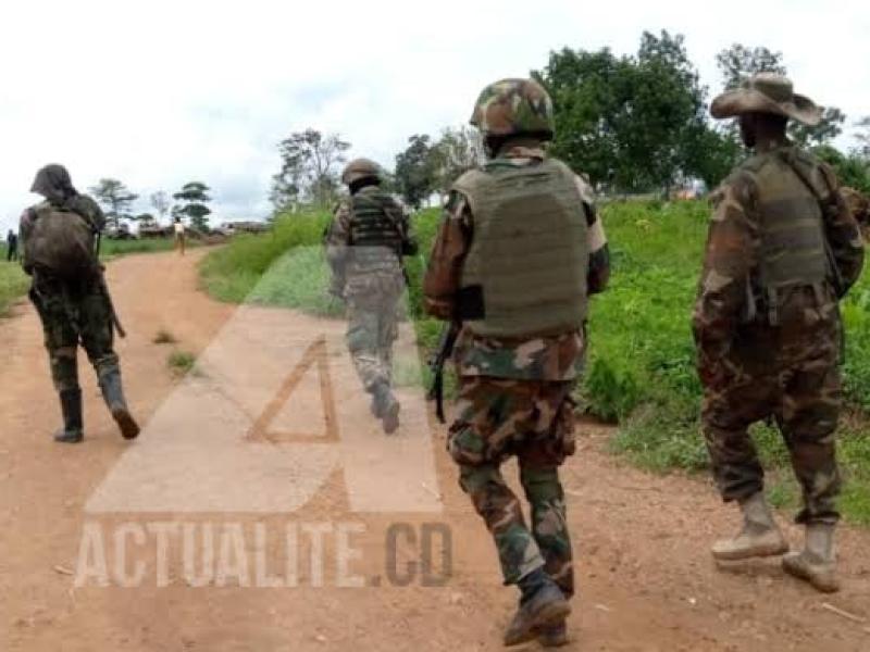 FARDC