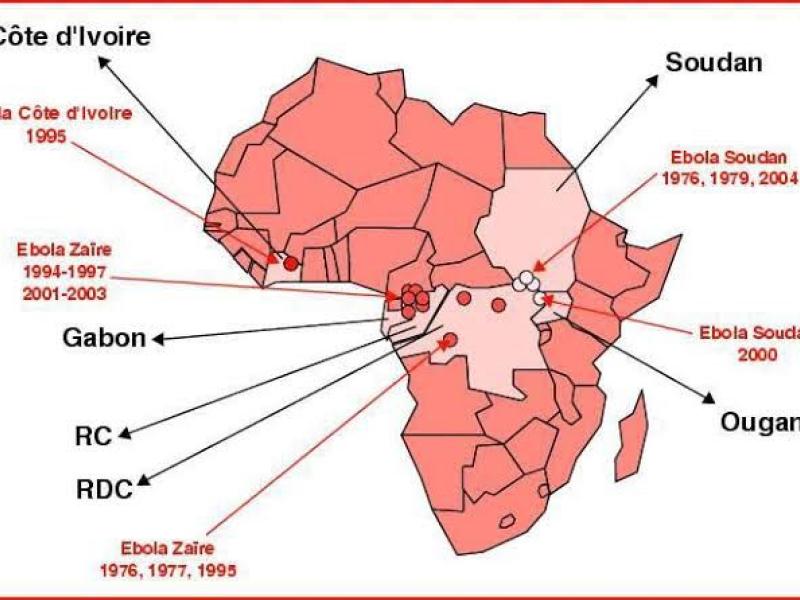 Carte Afrique