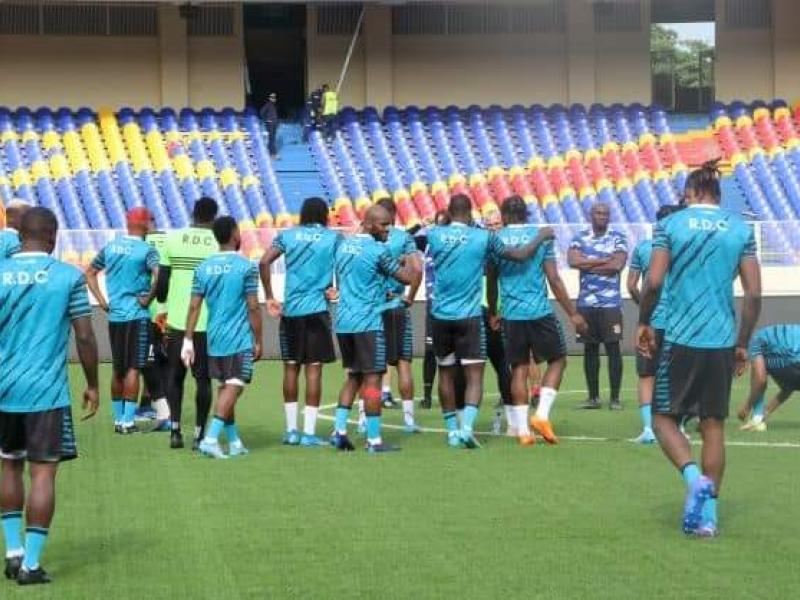 Léopards à l'entrainement 