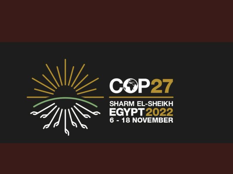 COP 27