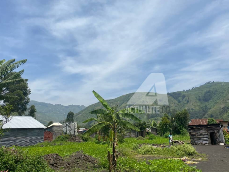 Les collines de Masisi vues à partir de Sake