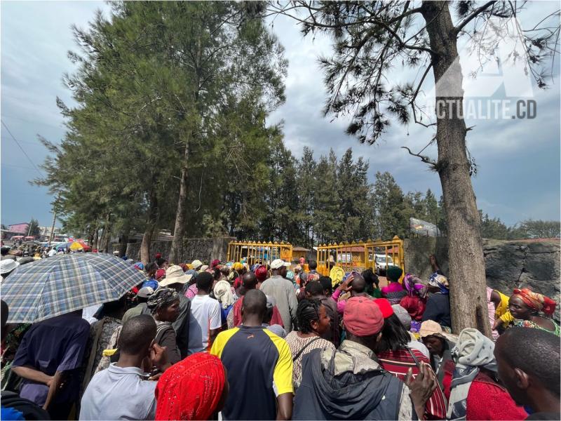 Déplacés de Kanyaruchinya, à proximité de Goma. Photo/ACTUALITE.CD