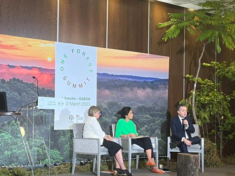 Ouverture du segment ministeriel de One Forest Summit