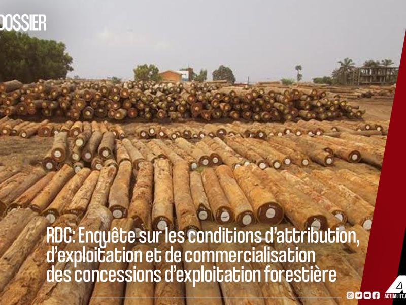 Cet article fait partie d’une série de productions dans le cadre de l’enquête menée sur les conditions d’attribution, d’exploitation et de commercialisation des concessions d’exploitation forestière