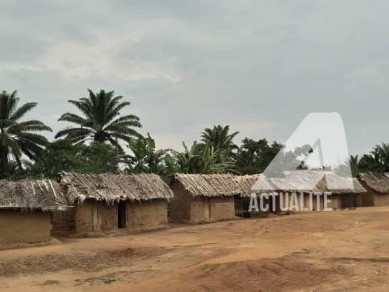 Lubutu, village voisin de Ombole, dans le secteur de Bapere