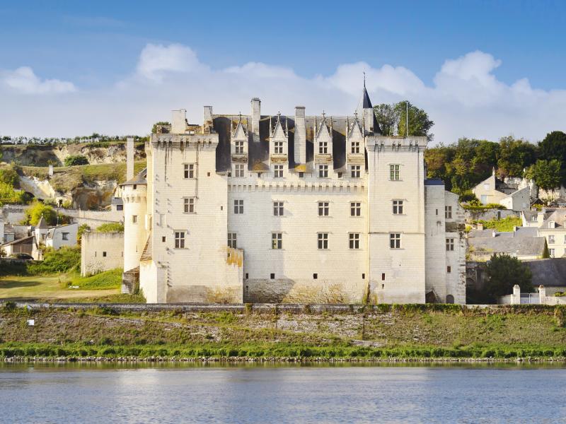 Le château de Montsoreau – musée d'Art contemporain est un musée privé d'art contemporain créé par le collectionneur Philippe Méaille, situé dans le val de Loire à Montsoreau.