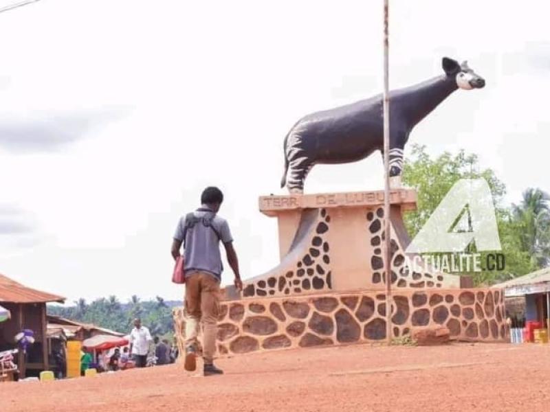 Un rond-point à Lubutu